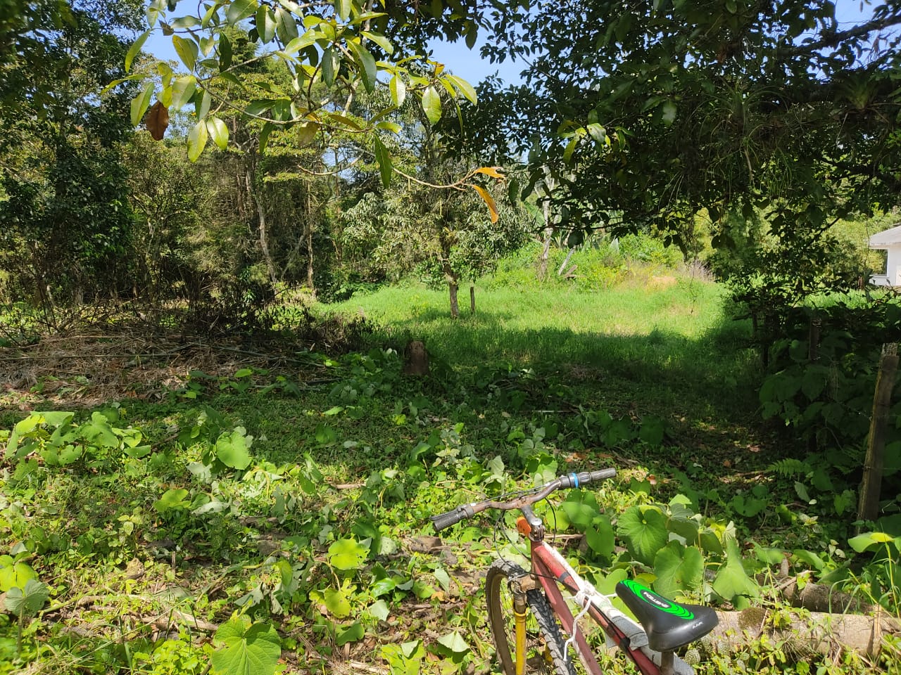 VENTA TERRENO CAMPESTRE COATEPEC CERCA RIO BOLA DE ORO 623m2 RODEADO DE NATURALEZA , Terrenos